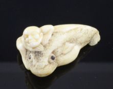 A Japanese ivory netsuke of a man riding an earthquake fish, Edo period, the fish with horn inset