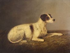 19th century English Schooloil on millboard,Study of a hound,10 x 13in.