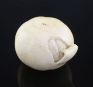 A Japanese ivory model of a partially peeled satsuma, early 20th century, 6.5cm, colour faded, age