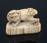 A Japanese ivory netsuke of a shi-shi, Edo period, standing on a crescent shaped plinth, with a