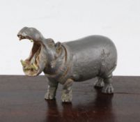 An Austrian Bergman cold painted bronze model of a hippopotamus, standing with wide open mouth,