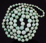 A single strand graduated jadeite bead necklace, 29.5in.