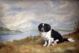 E. Bacon (19th C.)oil on canvas,'Yeddo', portrait of a Spaniel in a landscape,inscribed verso and