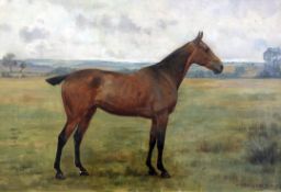 George Goodwin Kilburne (1839-1924)oil on canvas,Portrait of a horse in a field,signed and dated '