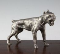 A silvered bronze figure of a growling mastiff, 8.5in.