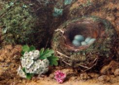 John Sherrin (1819-1896)watercolour,Still life of apple blossom beside a bird's nest,signed and