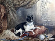 James Howard Burgess (1817-1890)watercolour and pencil,Portrait of a toy terrier or Chihuahua seated