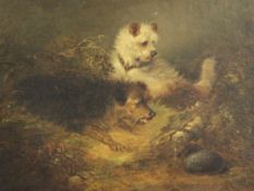 Edward Armfield (1817-1896)oil on canvas,Terriers beside a rabbit hole,12 x 16in. unframed.