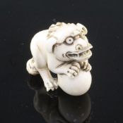 A Japanese ivory netsuke of a shi-shi, Edo period, standing on its haunches and grasping a ball,