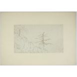 Giuseppe Bernardino Bison (1762-1844), Paesaggio con alberi. Penna e inchiostro mm. 195x335. -