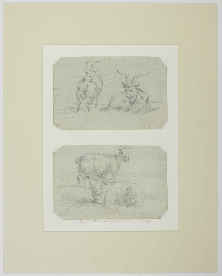 Niccola Benvenuti (1785-1851), Lotto di due disegni: 1) Studio di due capre, una a terra con
