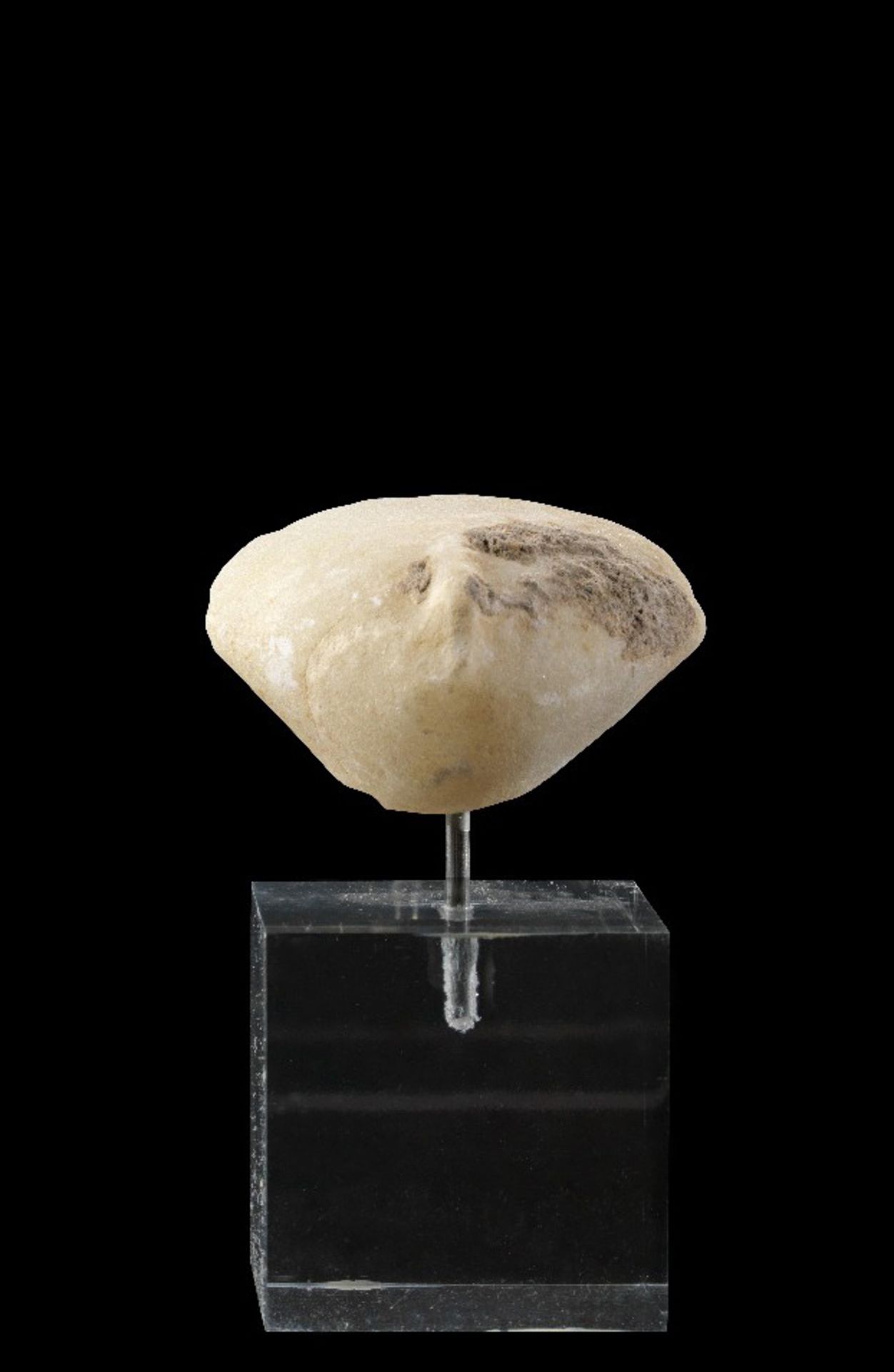 Idol-Köpfchen. Westasiatisch, ca. 2700 - 2400 v. Chr. H 2,1cm. Weißer, feinkristalliner Marmor.