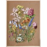 [NATURAL HISTORY]. BOTANY W[ard], H.C. Wild Flowers of Switzerland; or, A Year Amongst the Flowers