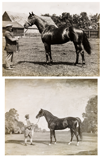 A photograph by Frank Griggs of the stallion Bosworth held by his groom, sold together with a