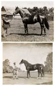 A photograph by Frank Griggs of the stallion Bosworth held by his groom, sold together with a