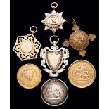 A group of 26 swimming medals won by the British Olympic champion swimmer Annie Speirs,