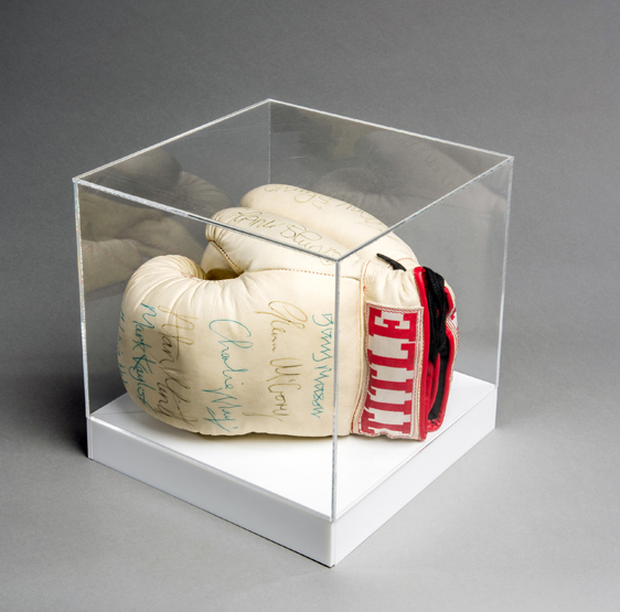 A pair of boxing gloves signed by eight British fighters,