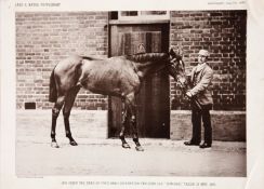 Twelve Victorian supplement photographic prints of celebrated racehorses,