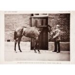 Twelve Victorian supplement photographic prints of celebrated racehorses,