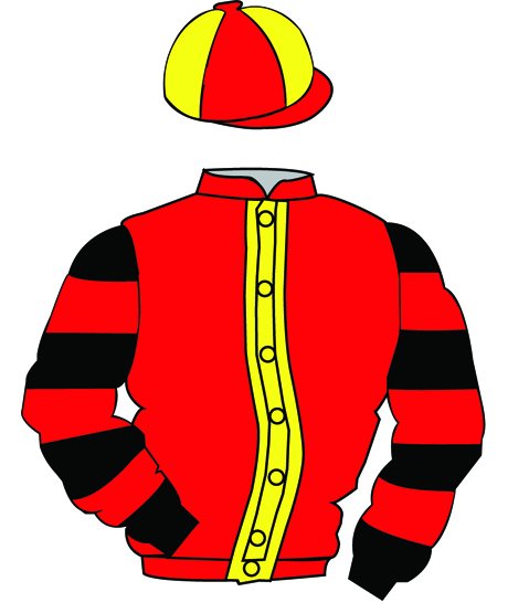 The British Horseracing Authority Sale of Racing Colours:
RED, YELLOW stripe,