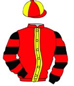 The British Horseracing Authority Sale of Racing Colours:
RED, YELLOW stripe,