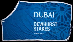 The winner's sheet worn by Frankel after his victory in the Dubai Dewhurst Stakes at Newmarket 16th