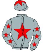 The British Horseracing Authority Sale of Racing Colours:
GREY, RED star, GREY sleeves, RED stars,