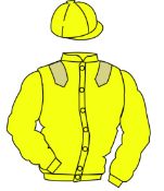 The British Horseracing Authority Sale of Racing Colours:
YELLOW,