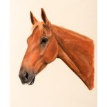 Joy Claxton (contemporary)
HORSE HEAD STUDIES (A GROUP OF FOUR)
two signed & dated 1996,