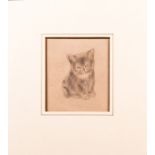 Vere Lucy Temple (1898-1980) Kitten Study, Pencil on paper, Unsigned. Dimensions: h: 8 1/2 x w: 6