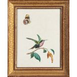 "Colibrì con farfalla", acquarello su carta, XIX secolo, H 24x19 cm Starting Price: €50