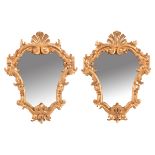 Coppia di Mirrors in legno intagliato e dorato, cimasa a conchiglia, XVIII sec., H cm 61x47.5 (