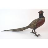 An Austrian cold painted bronze bird, by Franz Xavier Bergman (Austrian, 1861-1926) circa 1900,