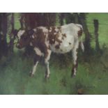 DAVID GAULD RSA (Scottish 1865 - 1936) AYRSHIRE CALF Oil on canvas, signed, 41 x 51cm (16 x 20")