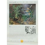 Shell Posters qty 11, all 29.75 x 20 inches,  'Key To The Countryside - Life' all by John Leigh