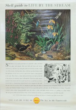 Shell Posters qty 11, all 29.75 x 20 inches,  'Key To The Countryside - Life' all by John Leigh