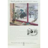 Shell Posters qty 18 all 29.75 x 20 inches, to include qty 11 'Guide to Trees' January to