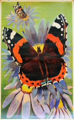 Poster London Transport 'Butterfly' by Derek Sayer, double royal, 40 x 25 inches. A vivid image of a