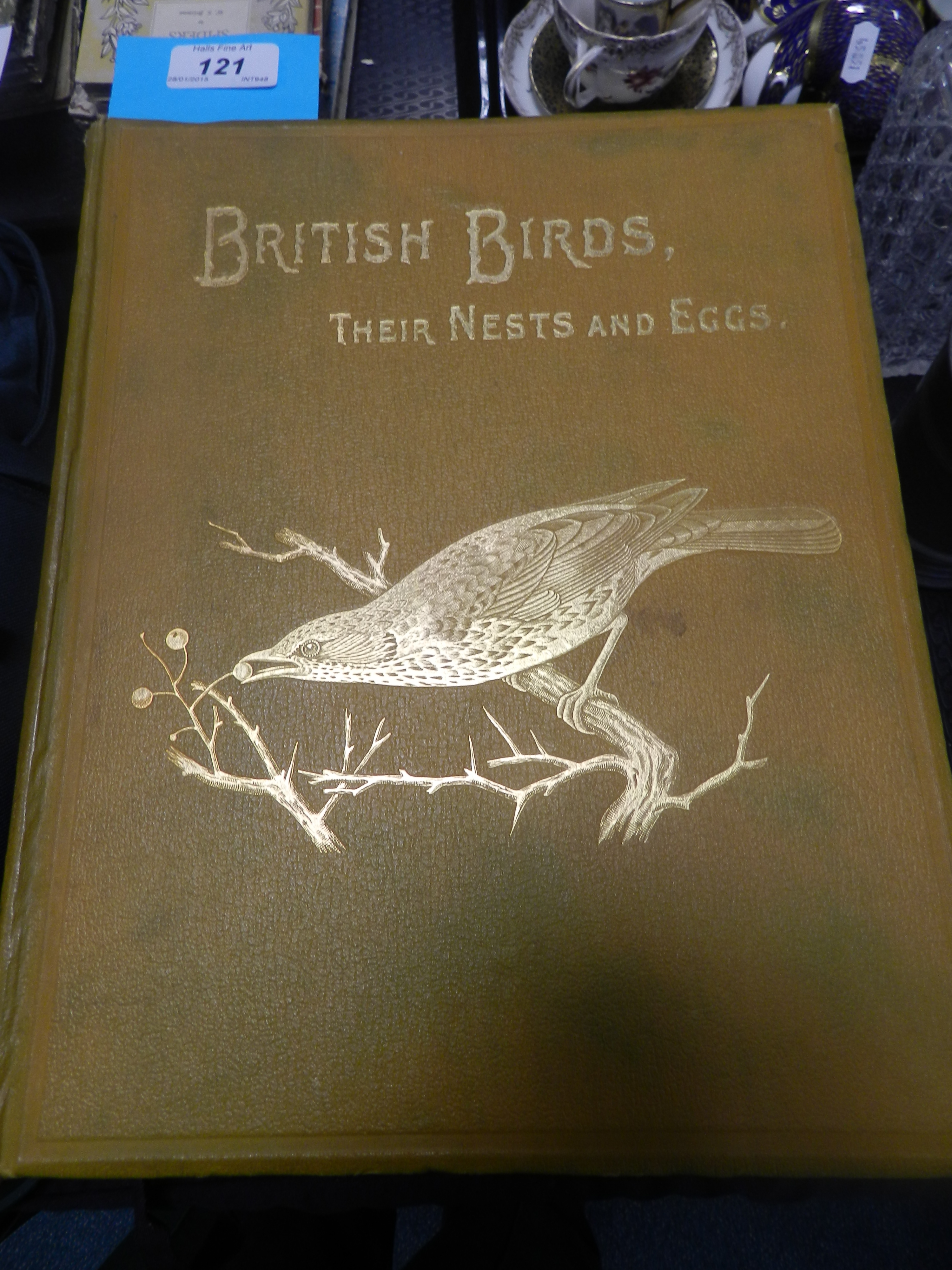 BRITISH BIRDS with THEIR NESTS AND EGGS,