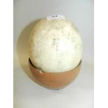 A drilled ostrich egg on wooden bowl sta