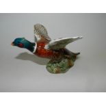 A Beswick model of a pheasant with outstretched wings,