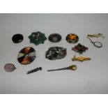 A collection of various Scottish hardstone brooches to include a malachite and simulated pearl