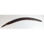 A large 19th century Australian Aboriginal Queensland boomerang with decorated surface,