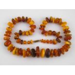 A graduated amber necklace, largest piec