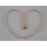 A cultured pearl necklace with a silver clasp, necklace approx. 40cm long, pearls approx.