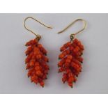 A pair of coral drop earrings with yellow metal (tests 18 carat gold) wire fittings, approx 4.