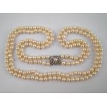 A two row cultured pearl necklace with a white metal (tests 18 carat gold) and diamond clasp,