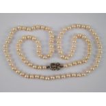 A cultured pearl necklace with a diamond set white gold clasp, necklace approx.