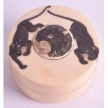 AN EARLY 20TH CENTURY JAPANESE MEIJI PERIOD IVORY BOX AND COVER engraved with roaming lions to the