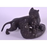 A 19TH CENTURY JAPANESE MEIJI PERIOD BRONZE OKIMONO depicting two tigers during a battle, with